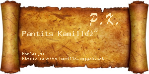 Pantits Kamilló névjegykártya